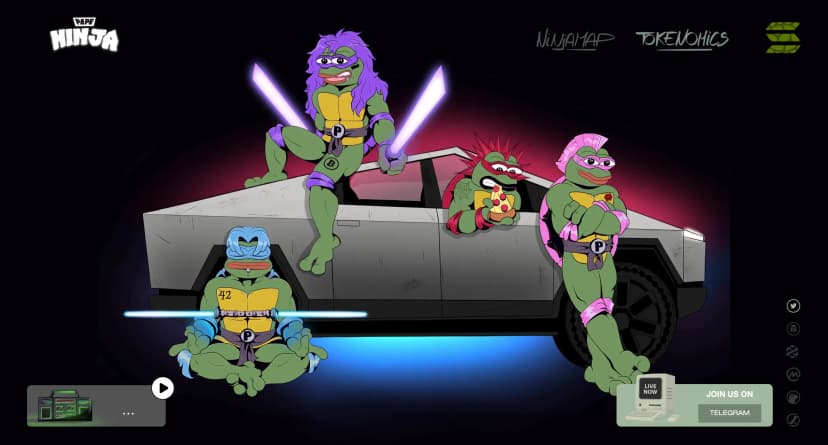 Ninja Turtles